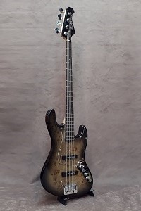 Bucchus WJB-BP Blk Burst